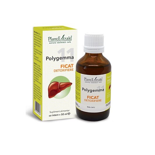 PLANTEXTRAKT, Polygemma 11 (Ficat-Detoxifiere) 50ml