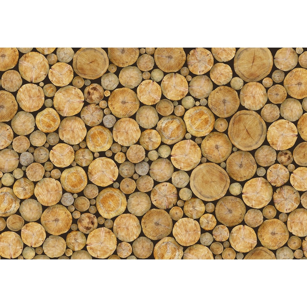 Fototapet Wizard & Genius 5189-8 dimensiune 384cm (L) x 260cm (I) maro