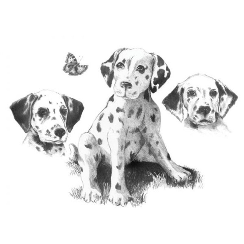 Set schite Royal and Langnickel 1 - Dalmatians