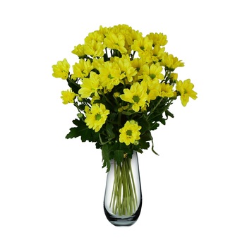 Buchet de 5 crizanteme galbene Buchet de 5 crizanteme galbene
