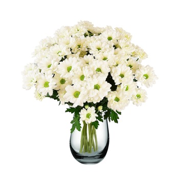Buchet de 7 crizanteme albe Buchet de 7 crizanteme albe