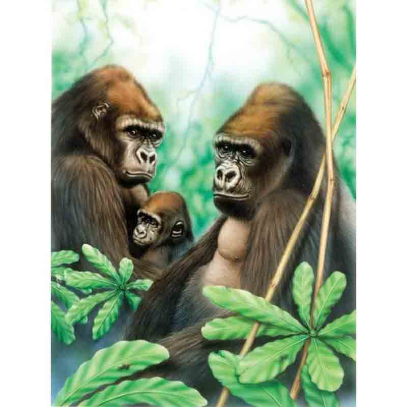 Set pictura pe numere, Royal Langnickel, 41 - Gorillas