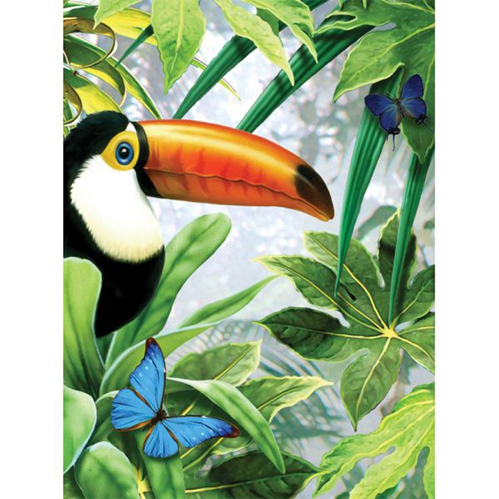 Set pictura pe numere, Royal Langnickel, 53 - Jungle Toucan