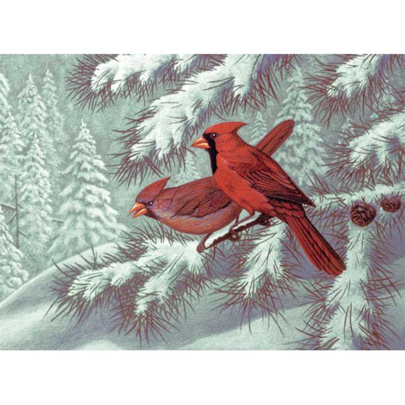 Set pictura pe numere adulti, Royal Langnickel, 32 - Cardinals