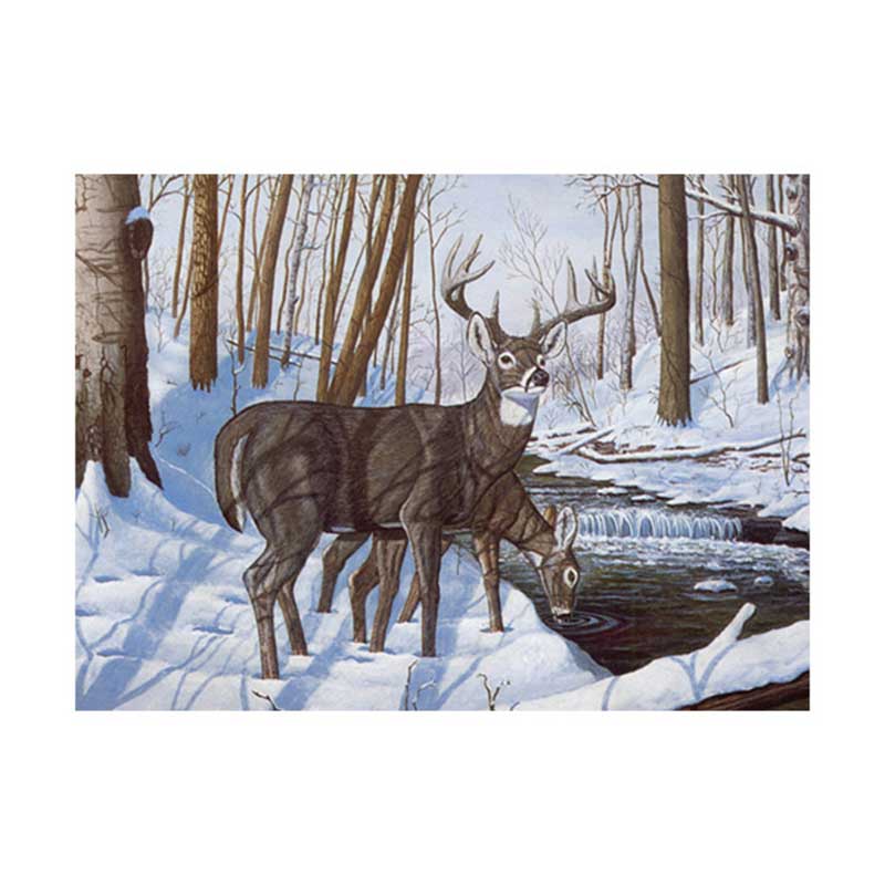 Set pictura pe numere adulti, Royal Langnickel, 43 - Winter Bliss