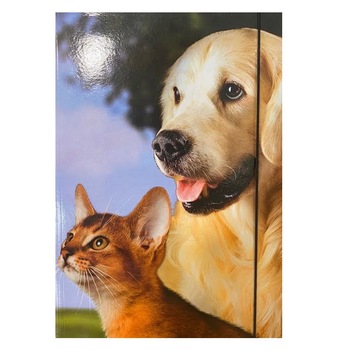 Mapa A4 Vision, din carton plastifiat, ilustratie caine si pisica Mapa A4 Vision, din carton plastifiat, ilustratie caine si pisica