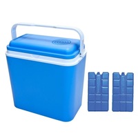 lada frigorifica auto capacitate 24l 48w maner ergonomic pliabil culoare albastru cu doua pastile racire imagen 59_0_
0
