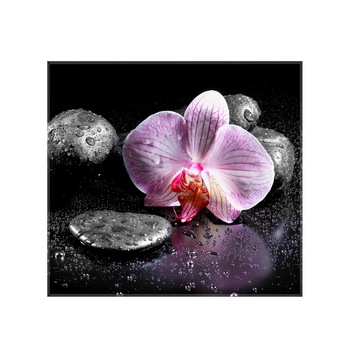 Sticla bucatarie securizata Saint Gobain Glass®, imprimata 60x55cm, protectie antistropire pentru aragaz, Ambra Deco, Orhidee Sticla bucatarie securizata Saint Gobain Glass®, imprimata 60x55cm, protectie antistropire pentru aragaz, Ambra Deco, Orhidee