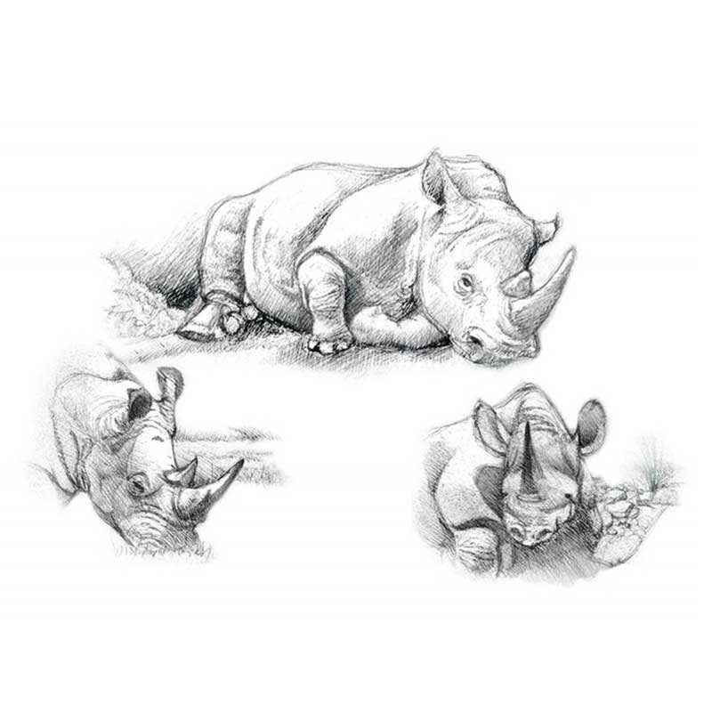 Set schite Royal and Langnickel 3 - Rhinos