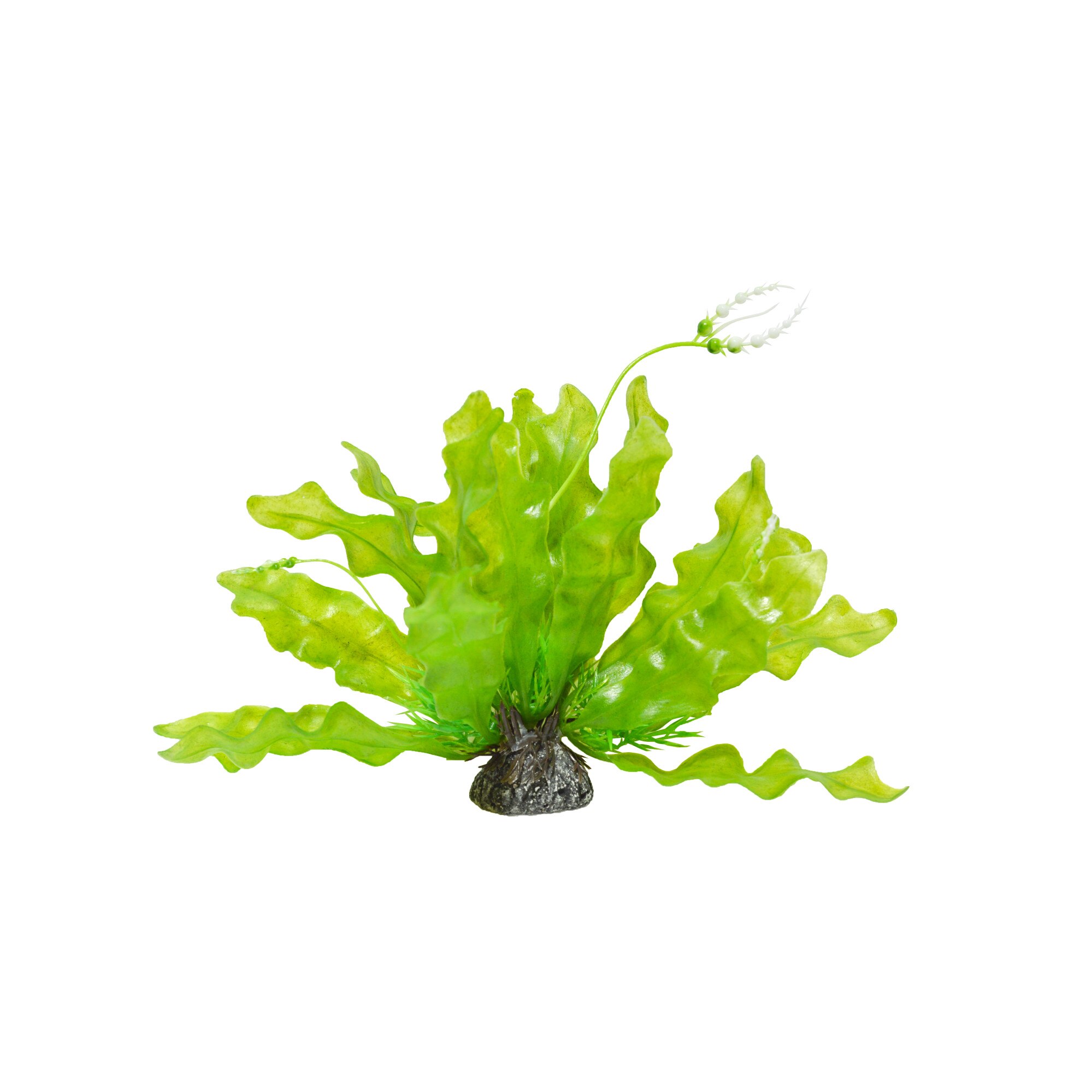 Planta de acvariu artificiala Aponogeton verde verde 28 cm