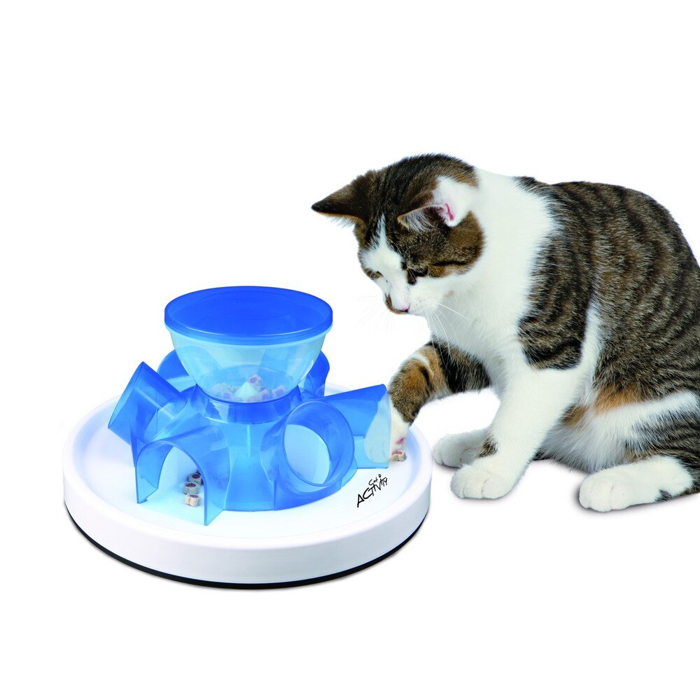 border collie puzzle