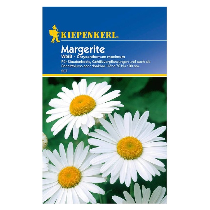 Margarete albe, 40 seminte