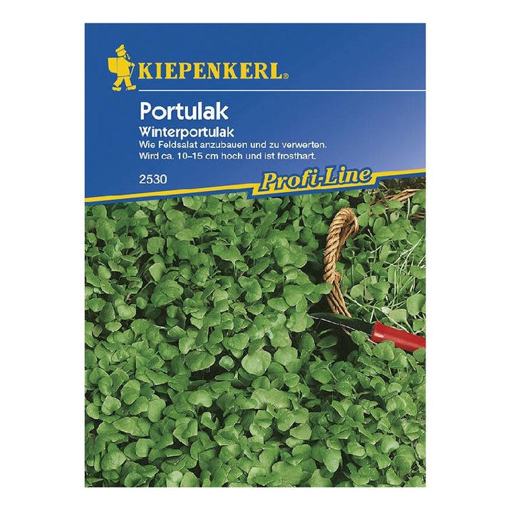 Salata minerului, 50 seminte