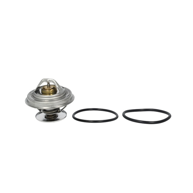 Termostat lichid racire MERCEDES-BENZ VARIO platou sasiu BEHR TX1875D