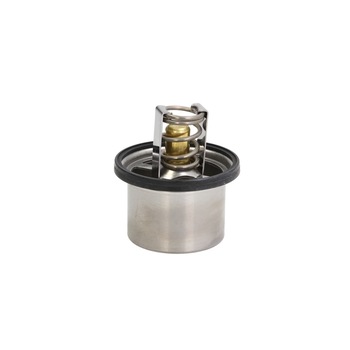 Termostat lichid racire BMW 5 E39 BEHR TX3779 Termostat lichid racire BMW 5 E39 BEHR TX3779