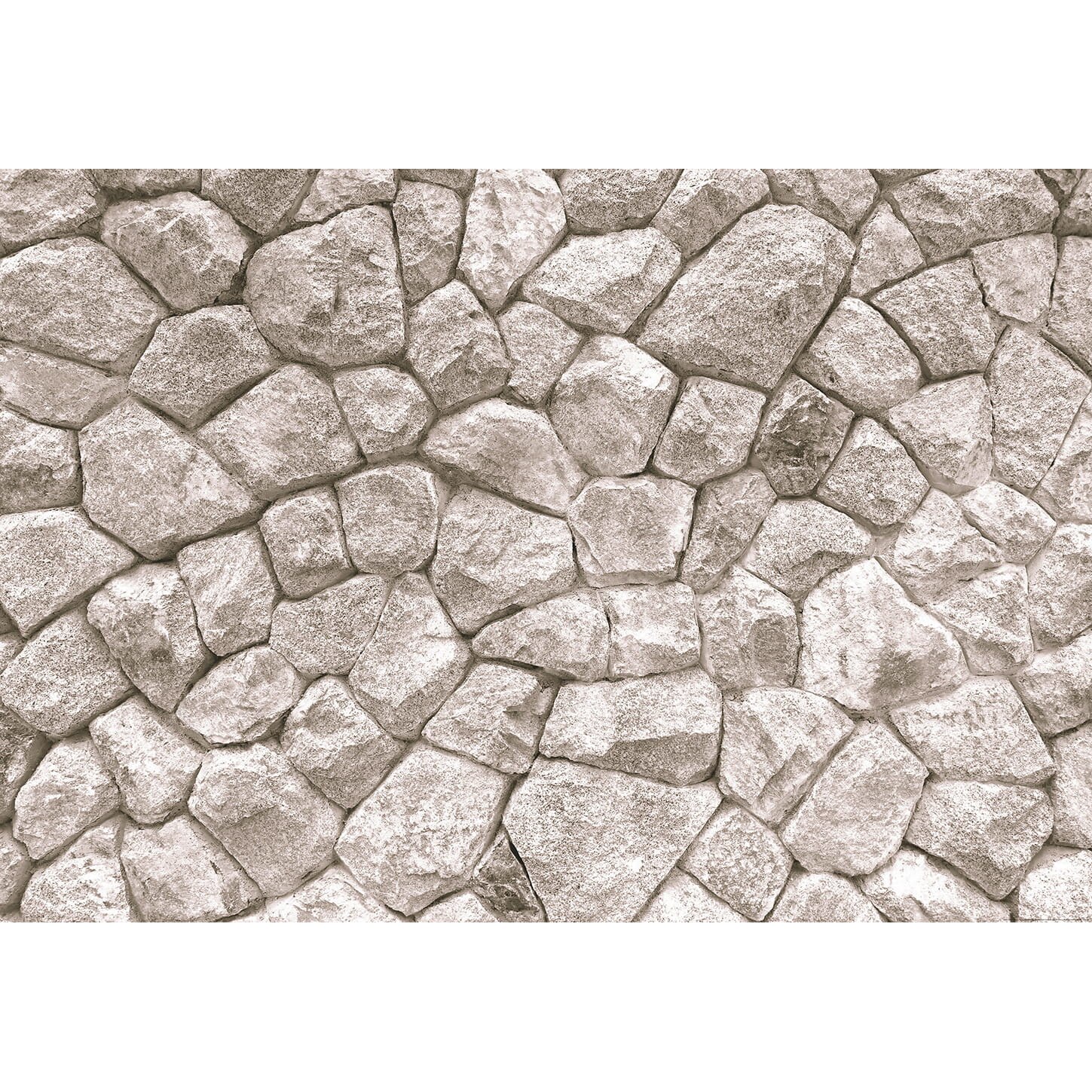 Fototapet tematic Wizard and Genius 5193-8 dimensiune 384cm (L) x 260cm (I) gri