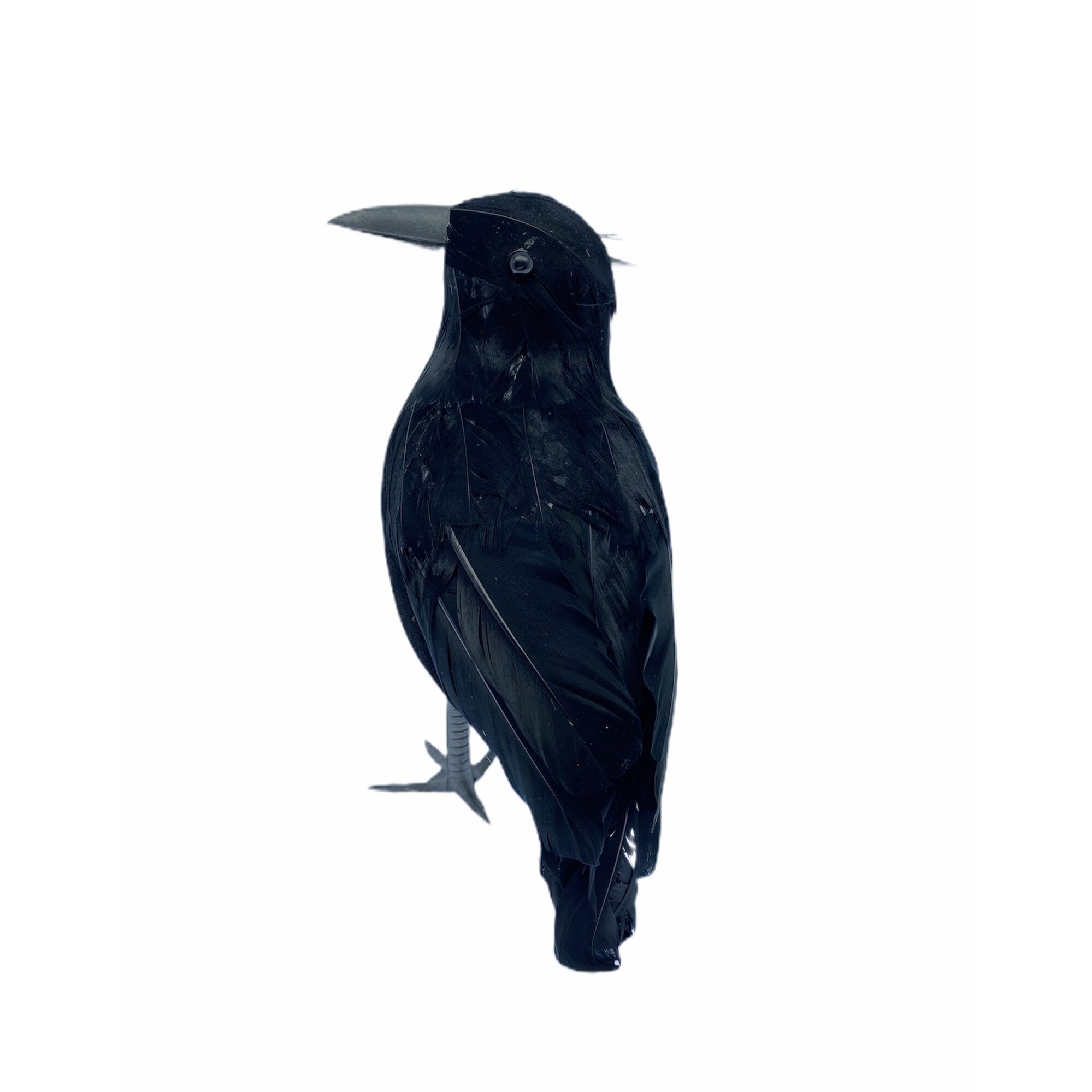 Decoratiune Atelier pasare, 20 cm