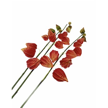 Set 3 decoratiuni flori, Rosu, 100 cm Set 3 decoratiuni flori, Rosu, 100 cm