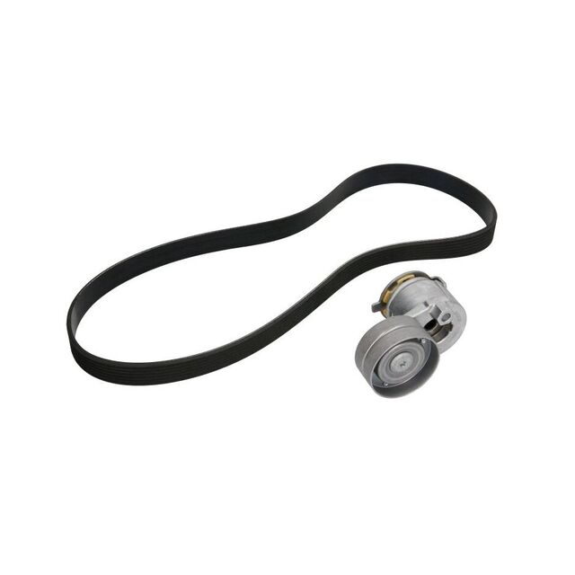 Set Curea transmisie RENAULT MEGANE II Coupé-Cabriolet EM0 1 CONTITECH 7PK1125K1