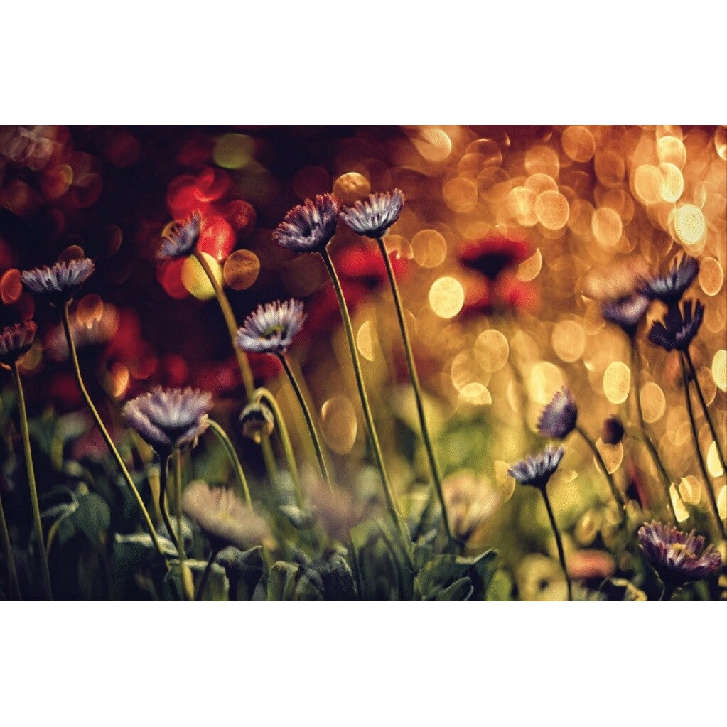 Fototapet Wizard Genius P5156 dimensiune 384cm (L) x 260cm (I) multicolor