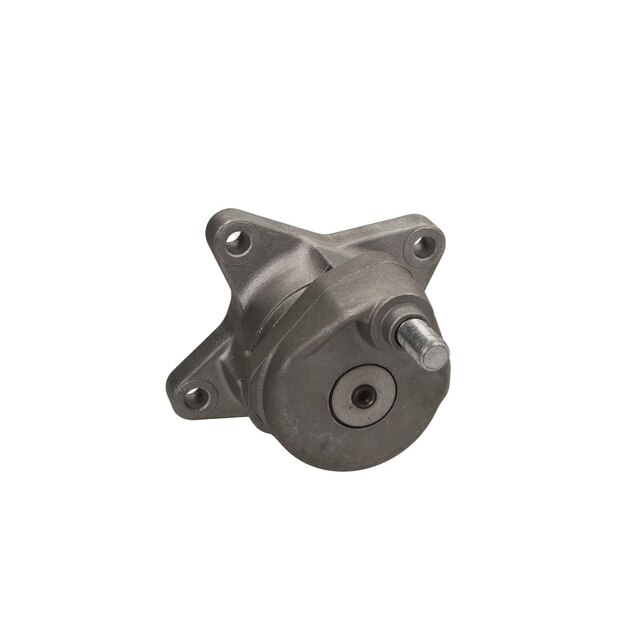 Intinzator curea MERCEDES-BENZ G-CLASS W463 DAYCO APV2245