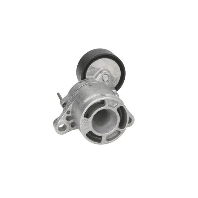 Intinzator curea BMW 3 Gran Turismo F34 DAYCO APV3239