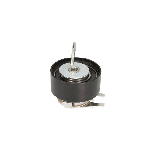 Rola Intinzator curea CITROEN C6 TD DAYCO ATB2594