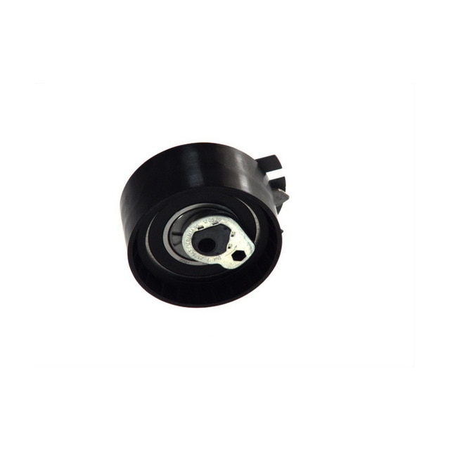 Rola Intinzator curea NISSAN INTERSTAR caroserie X70 DAYCO ATB2235