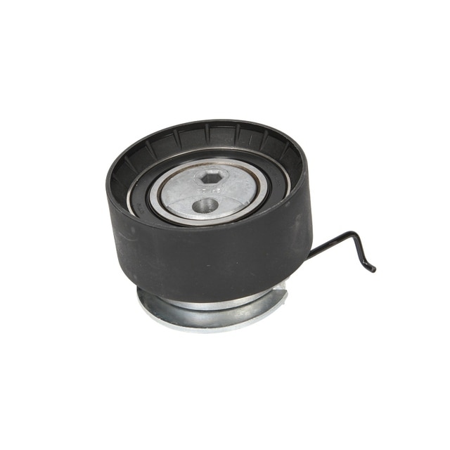 Rola Intinzator curea VW LT 28-35 I platou sasiu 281-363 DAYCO ATB2250