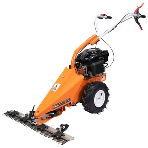 Coase electrice si Motocoase