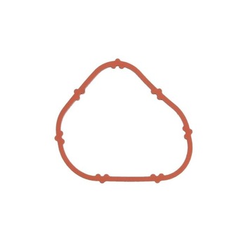 Garnitura galerie admisie RENAULT SYMBOL I (LB0/1/2_) 1.2 16V 2002 - prezent CORTECO 026471H Garnitura galerie admisie RENAULT SYMBOL I (LB0/1/2_) 1.2 16V 2002 - prezent CORTECO 026471H