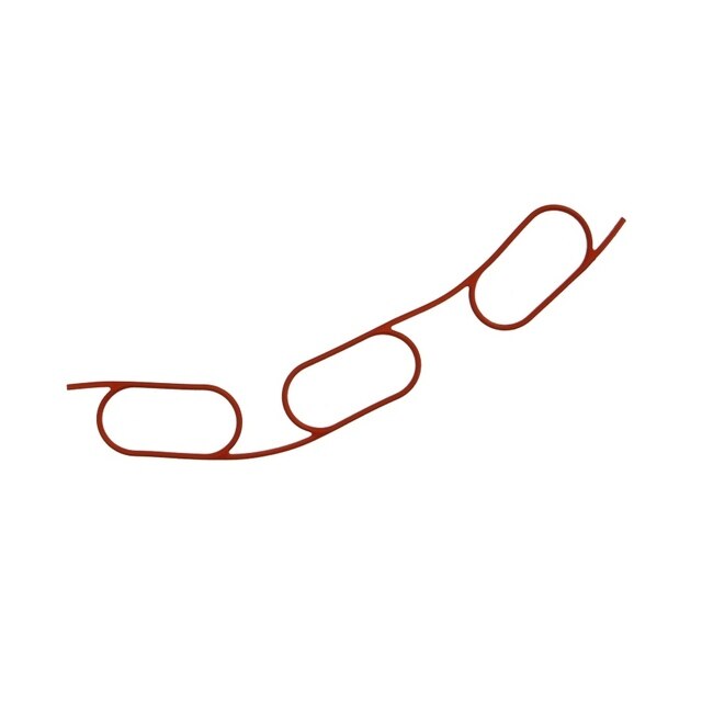 Garnitura galerie admisie BMW 3 Cabriolet (E36) 320 i 1993-1999 CORTECO 450569H