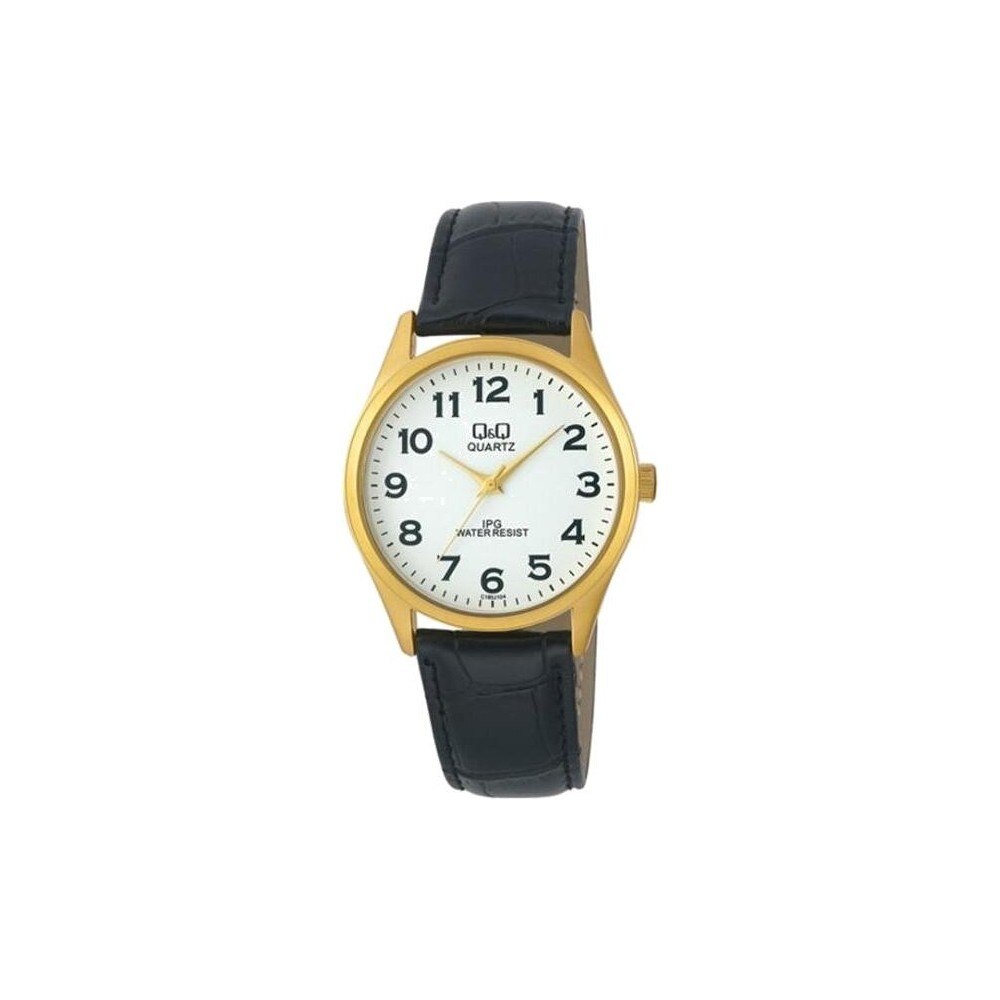 Ceas barbatesc Q&Q C180J104Y