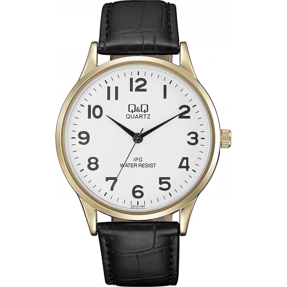 Ceas barbatesc Q&Q C214J104Y