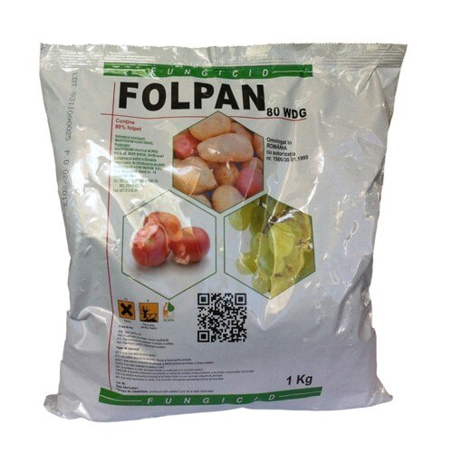 Fungicid FOLPAN 80WDG - 1Kg