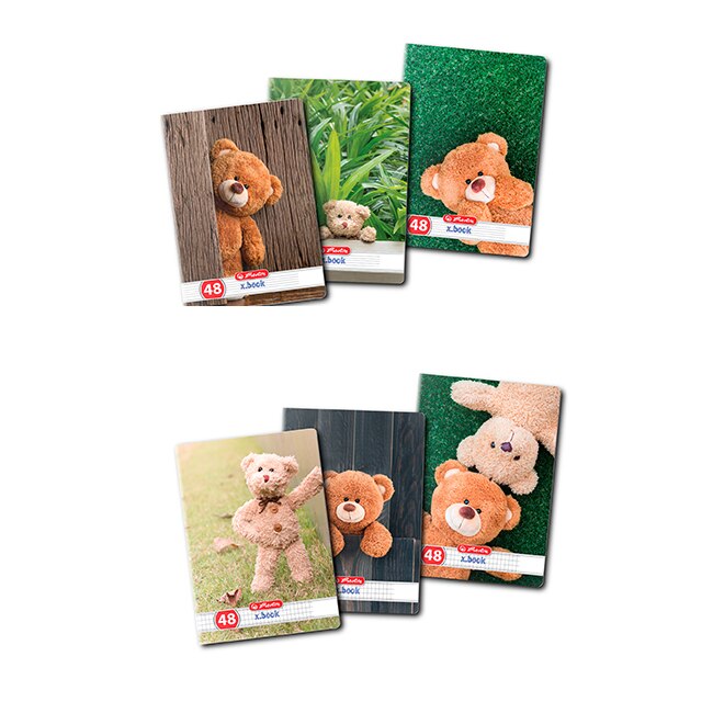 Set 10 caiete Herlitz Teddy, A5, 48 File, 5 Dictando + 5 Matematica