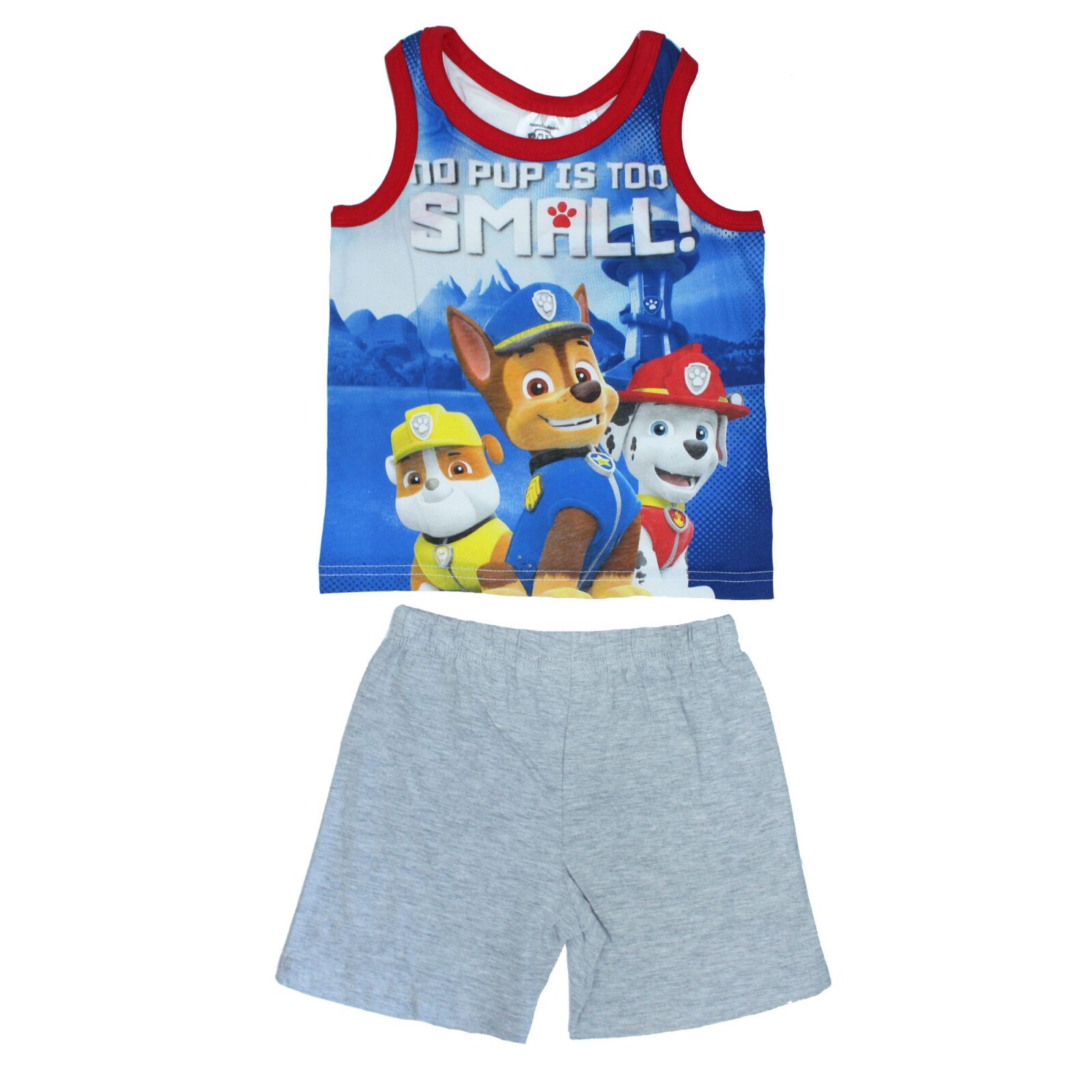 Compleu Paw Patrol Top Pup 4878, Gri