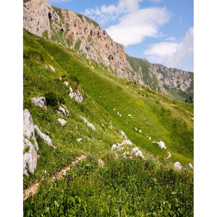 Blueback MAT tapéta, természet 90 modell, 200 x 255 cm