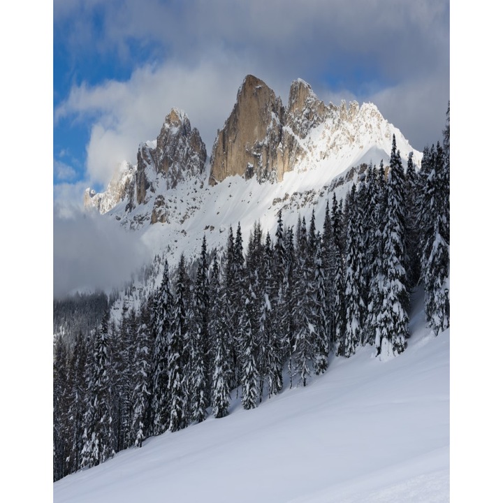 Blueback MAT "Természet 95" tapéta, 200 x 255 cm