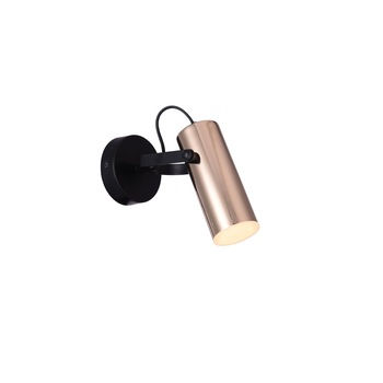 Spot Rabalux Raven IL-336428, 1 x LED max 5W Spot Rabalux Raven IL-336428, 1 x LED max 5W