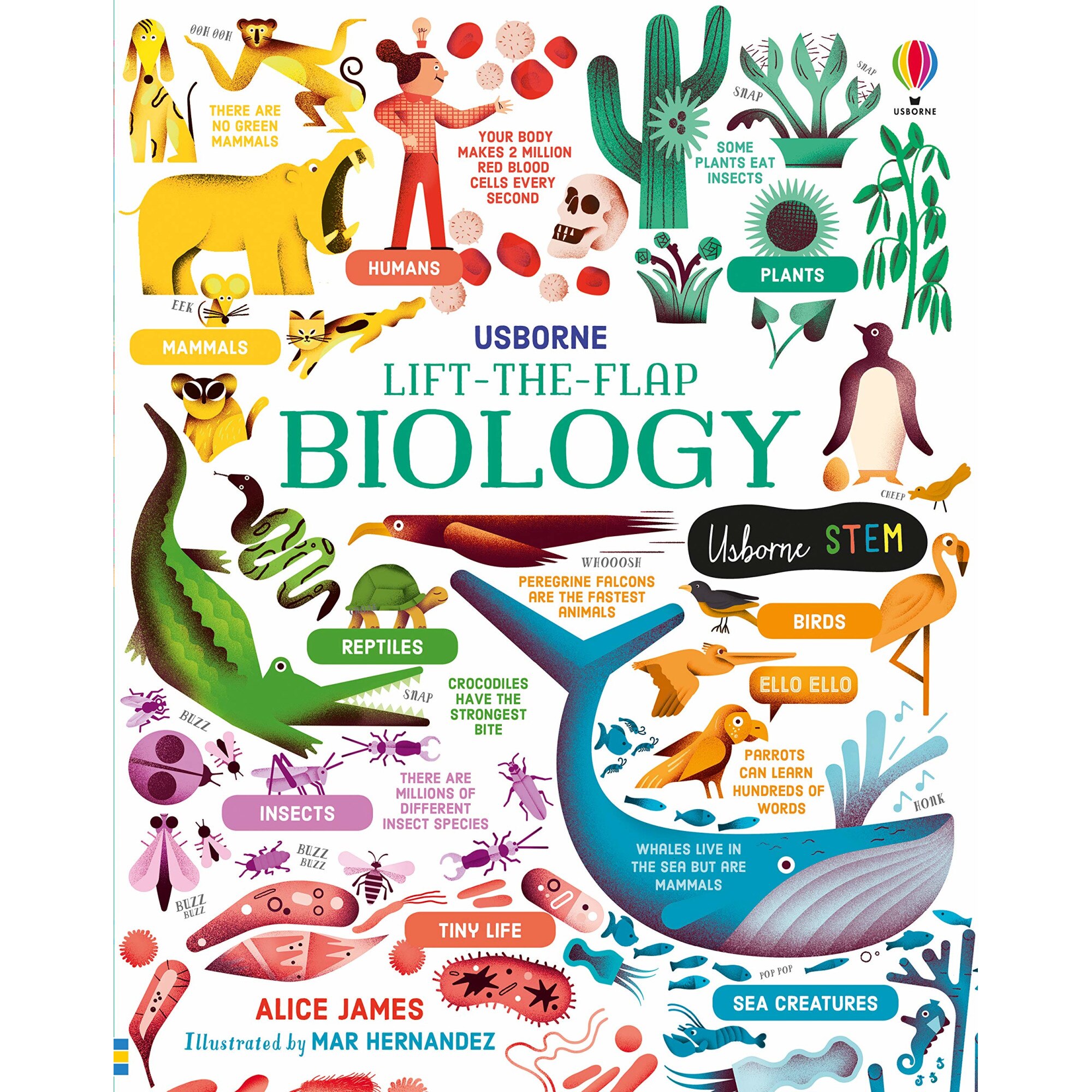 Lift-the-Flap Biology - Alice James