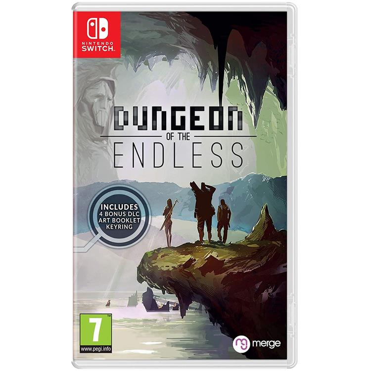 Joc Dungeon Of The Endless Nintendo Switch