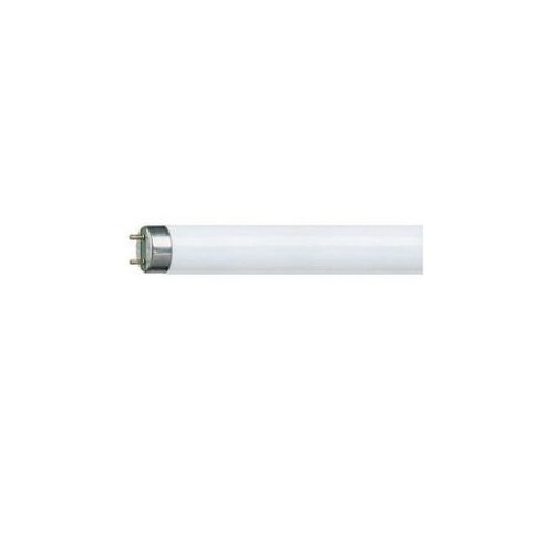 Tub fluorescent T8 Philips TL-D 36W, Snow White, G13, lumina rece