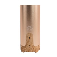 Difuzor aromaterapie CARAROMA, Auto / Birou, EZEN, 50 ml, Umidificator Aer cu Ultrasunete, Lemn deschis + Auriu