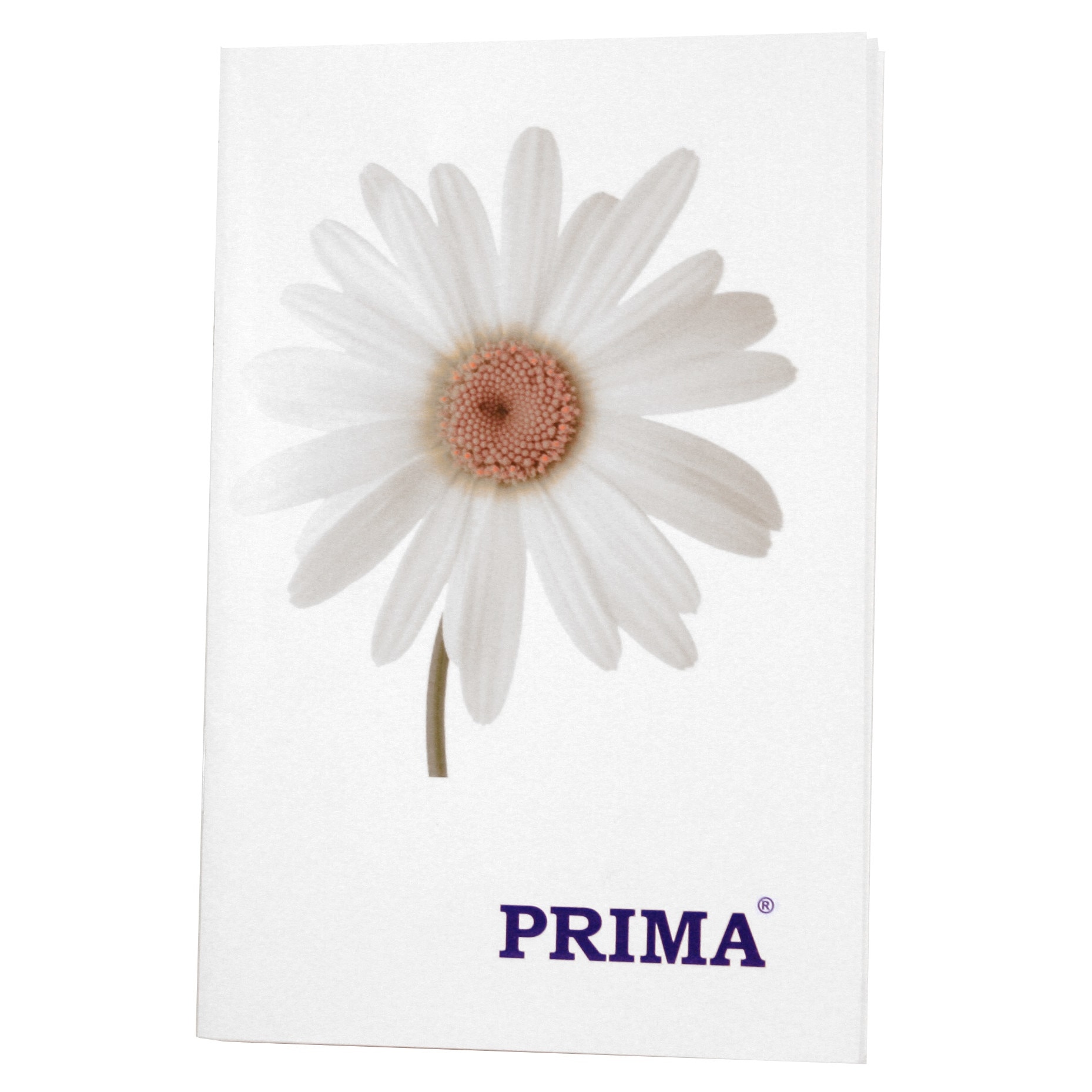 Caiet 50 Pagini Format A6