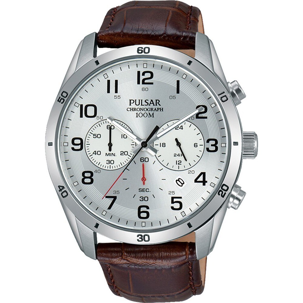 Ceas barbatesc Pulsar PT3817X1