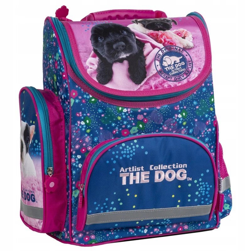 Ghiozdan caine scoala, multicolor