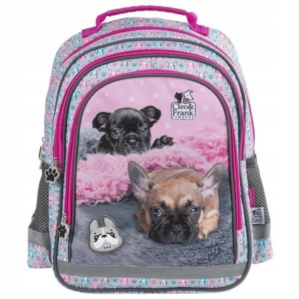 Rucsac mizerabil scoala, multicolor