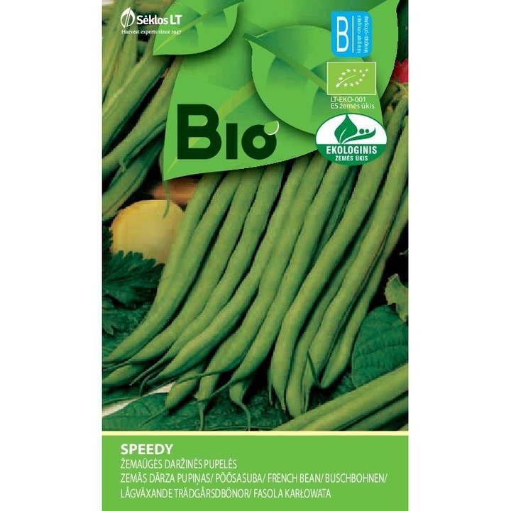 Francia Speedy bab, Bio, Bio magvak, Korai fajta, zacskós, 4 grammos