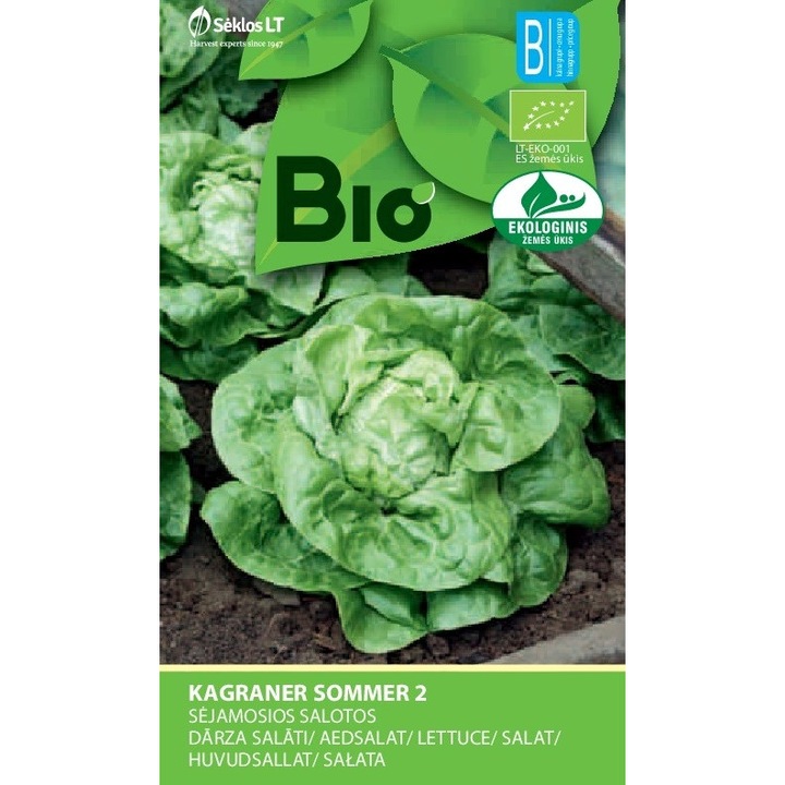 Salata Kagraner Sommer 2, Bio, Seminte Organice, plic, 1 gram